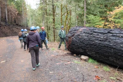 Nov 2023 field trip to HJA after Lookout Fire