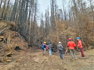 Nov 2023 field trip to HJA after Lookout Fire