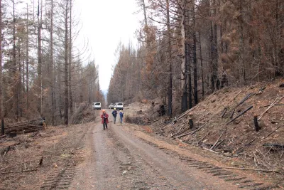 Nov 2023 field trip to HJA after Lookout Fire