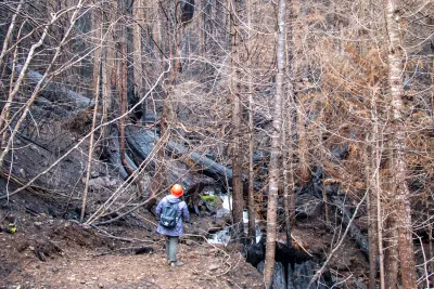 Nov 2023 field trip to HJA after Lookout Fire