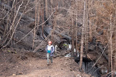 Nov 2023 field trip to HJA after Lookout Fire