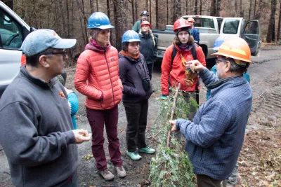 Nov 2023 field trip to HJA after Lookout Fire