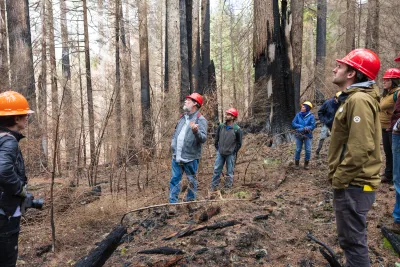 April 2024 field trip to HJA after Lookout Fire