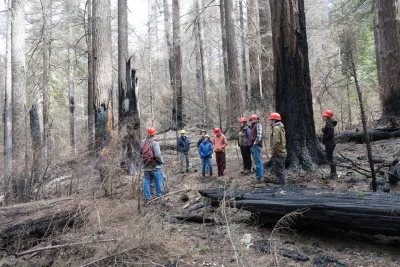 April 2024 field trip to HJA after Lookout Fire