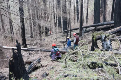 April 2024 field trip to HJA after Lookout Fire