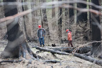 April 2024 field trip to HJA after Lookout Fire