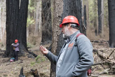 April 2024 field trip to HJA after Lookout Fire