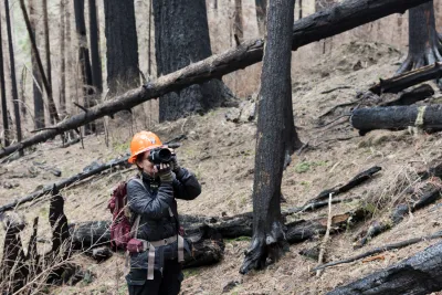 April 2024 field trip to HJA after Lookout Fire