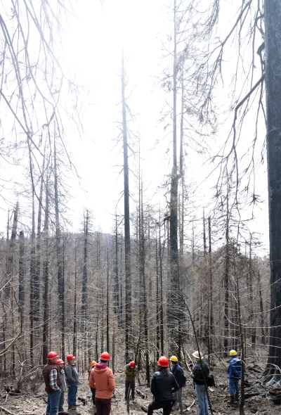 April 2024 field trip to HJA after Lookout Fire