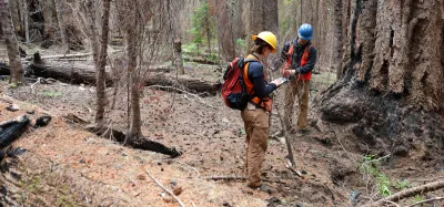 Undergraduate students Spencer Jackson and Jack Horton record data on trees in the study plot