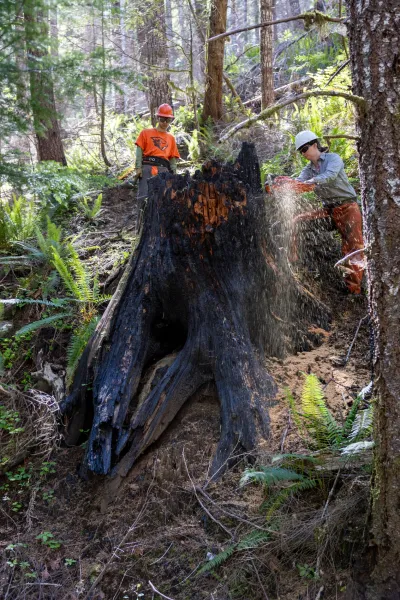 Fire History Project 2026