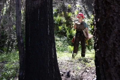 Fire History Project 2026