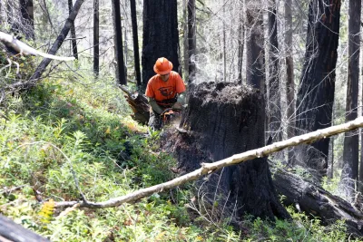 Fire History Project 2026