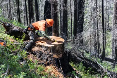 Fire History Project 2026