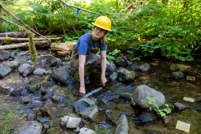 Post Fire Stream Nutrient Dynamics 2026