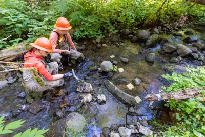 Post Fire Stream Nutrient Dynamics 2026