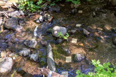 Post Fire Stream Nutrient Dynamics 2026