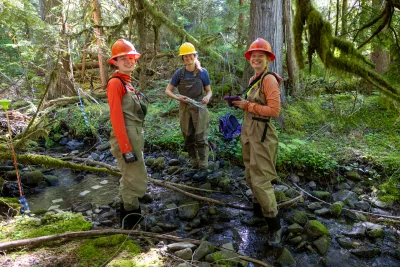Post Fire Stream Nutrient Dynamics 2026