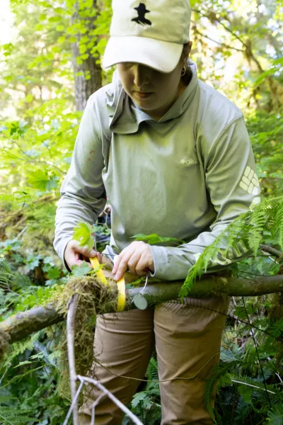 Big Plots 2026