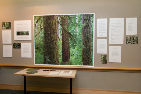 LTEReflections Exhibit February 2013