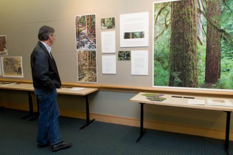 LTEReflections Exhibit February 2013