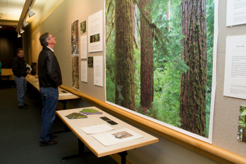 LTEReflections Exhibit February 2013