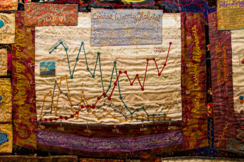 LTEReflections Exhibit February 2013
