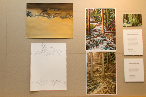 LTEReflections Exhibit February 2013