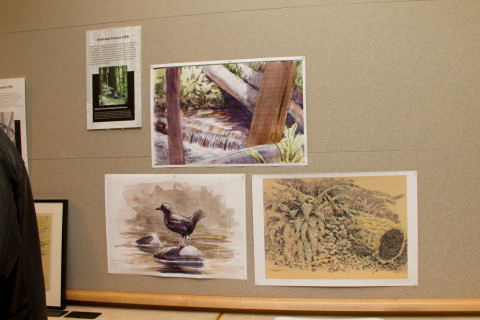 LTEReflections Exhibit February 2013