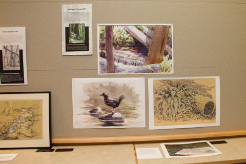 LTEReflections Exhibit February 2013