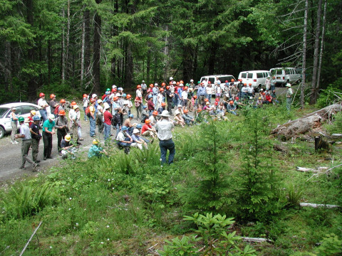 group of people along forested roadside