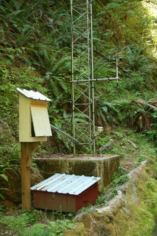 Sediment Basin Sampling 2007