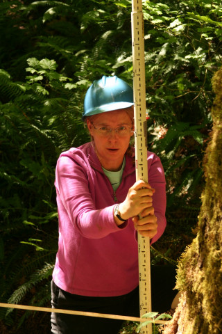Sediment Basin Sampling 2007