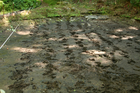 Sediment Basin Sampling 2007