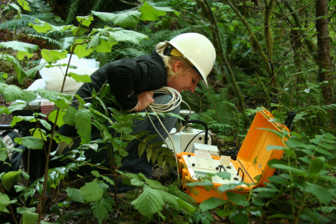 Field Work in Watershed 1