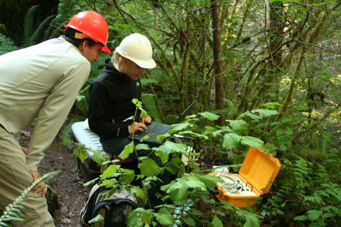 Field Work in Watershed 1
