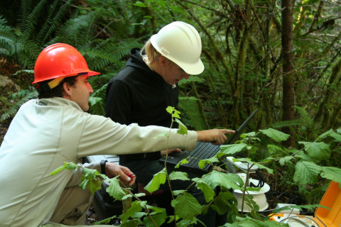 Field Work in Watershed 1
