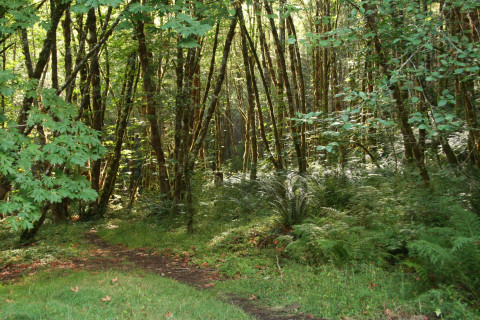 Field Work in Watershed 1