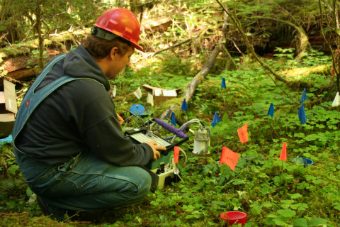 Soil sampling