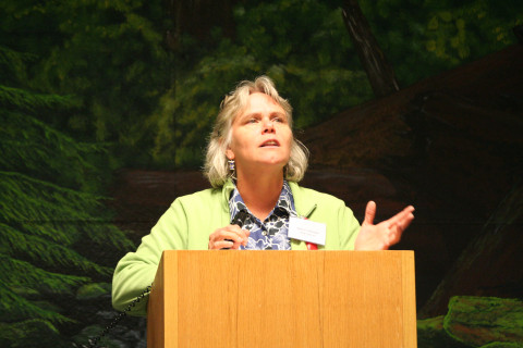 Sherri Johnson