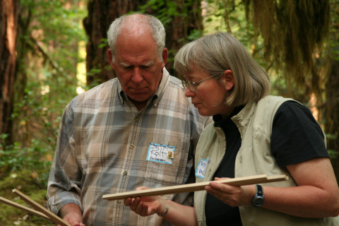 examining tree cores