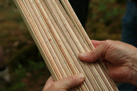 Tree cores
