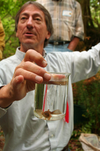 Stan Gregory on fish