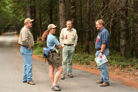 Managing Young Forests