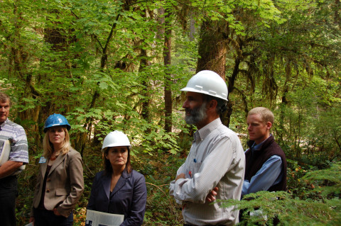 Lecture in the woods