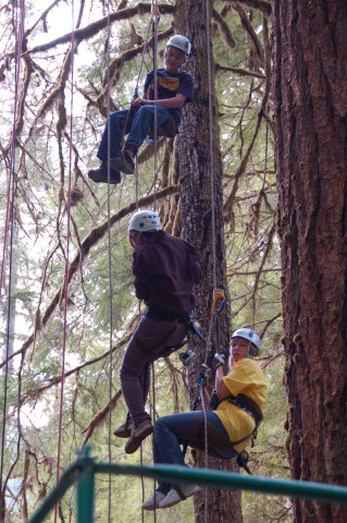 Canopy Connections: Education Programs