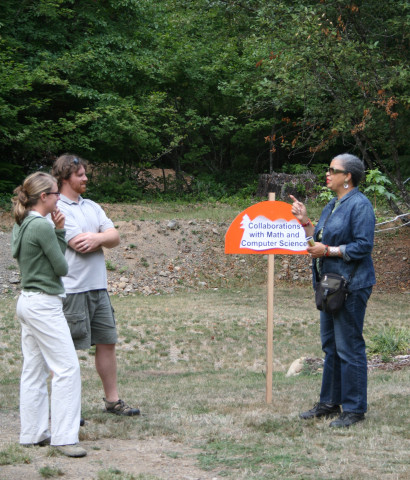 Old Growth Forests: Past and Future