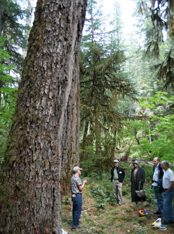 Canopy Connections: Education Programs