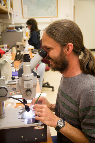 Insect lab work for the phenology project, July 2014
