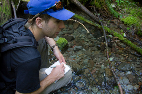 Stream Ecology field work, July 2014